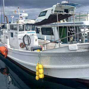 일본 오키나와 보트낚시 체험  작은 열대어는 물론 그루퍼 레오파드 코랄그... 솔직 후기 | 실사용자 리뷰 분석 - 상품 이미지 1