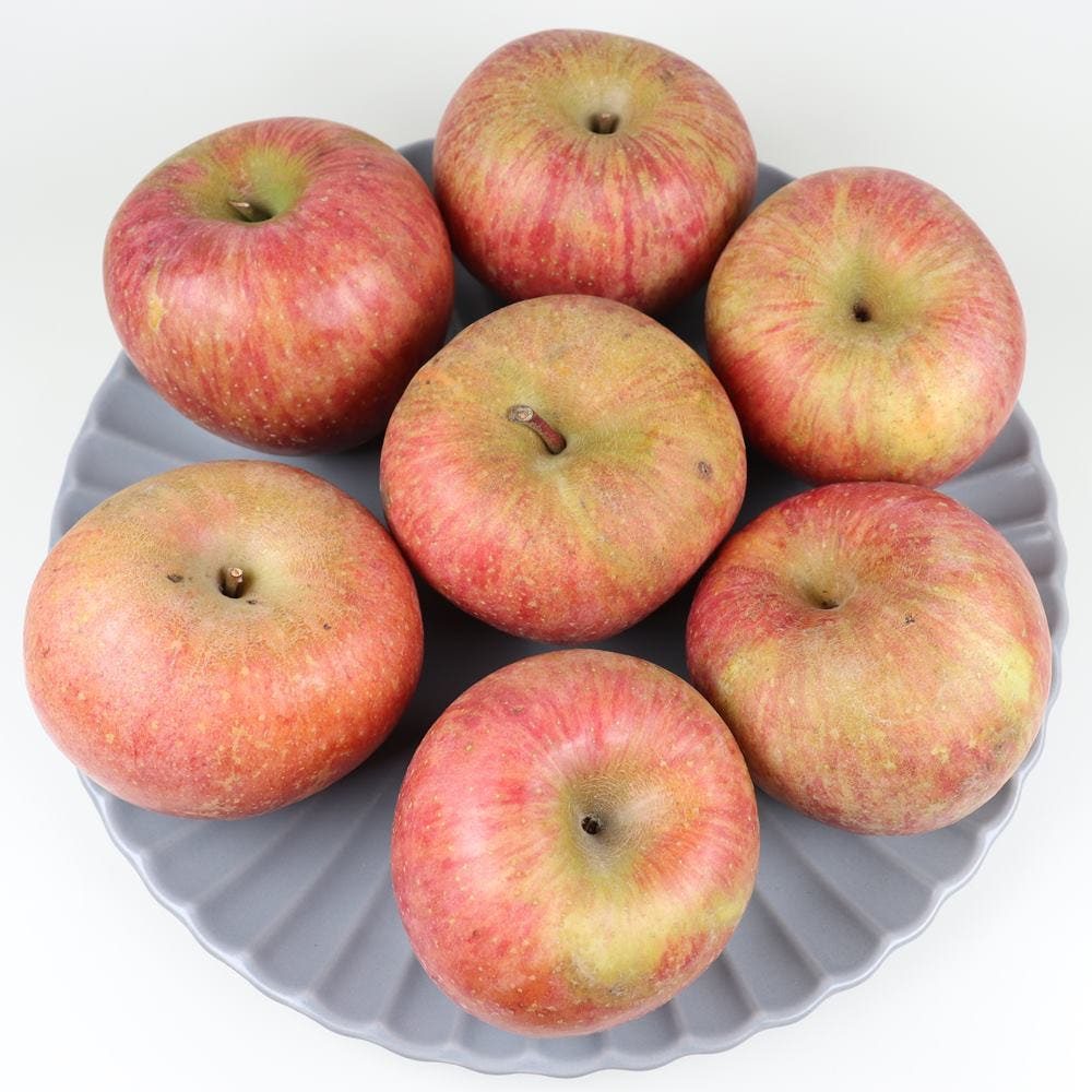 경북 부사 사과 10kg