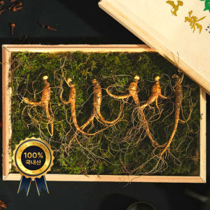 (정삼) 6-7년근 10뿌리 맛있게 먹은 솔직 후기 - 상품 이미지 4