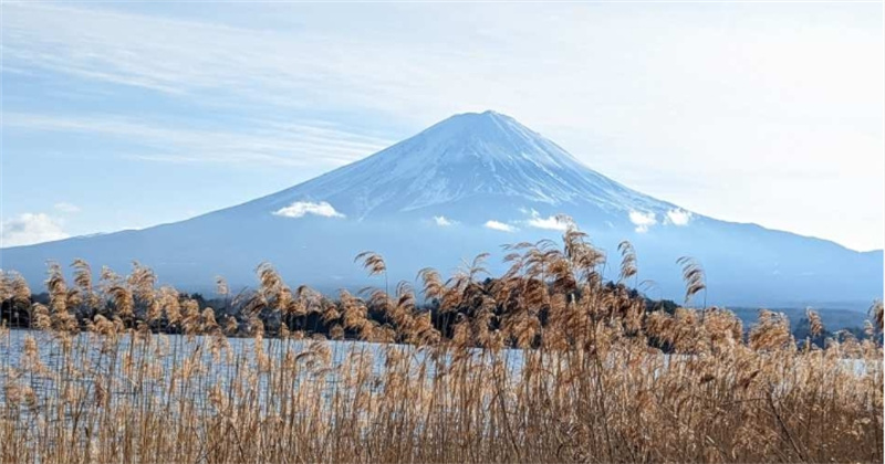 일본  도쿄 고템바 프리미엄 아울렛에서 후지산 전망과 2시간 이상의 자유시간! 이미지 4