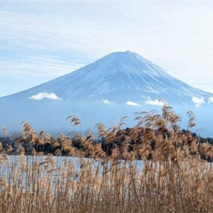 일본  도쿄 고템바 프리미엄 아울렛에서 후지산 전망과 2시간 이상의 자유... 솔직 후기 | 실사용자 리뷰 분석 - 상품 이미지 4
