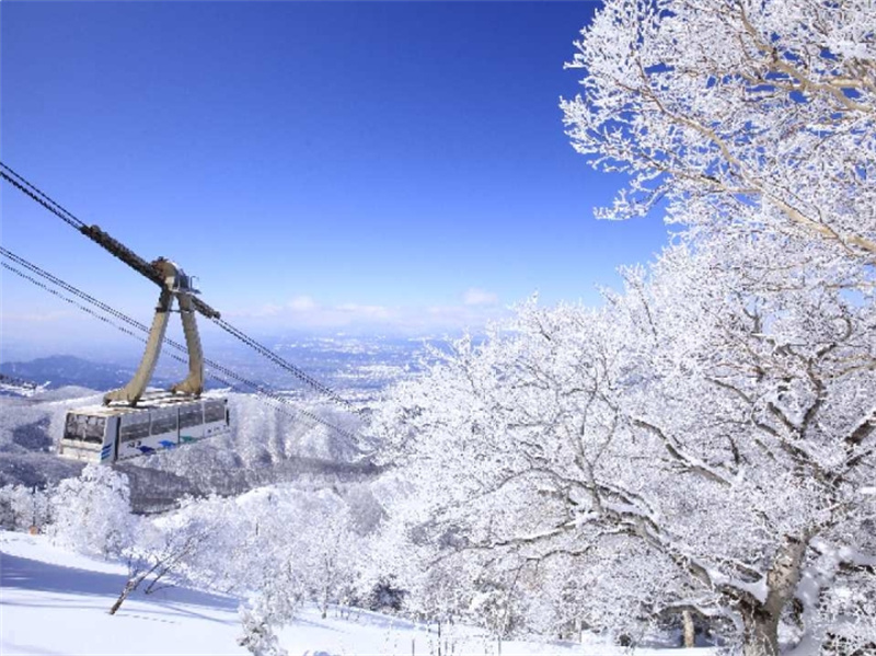 [1인 투어] 일본 나가노 일일 스키여행|기타시가류오 스키장 & 오전/저... 솔직 후기 | 실사용자 리뷰 분석 - 대표 이미지