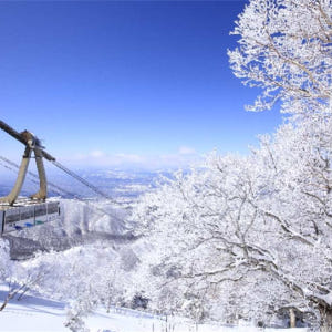 [1인 투어] 일본 나가노 일일 스키여행|기타시가류오 스키장 & 오전/저... 솔직 후기 | 실사용자 리뷰 분석 - 상품 이미지 1