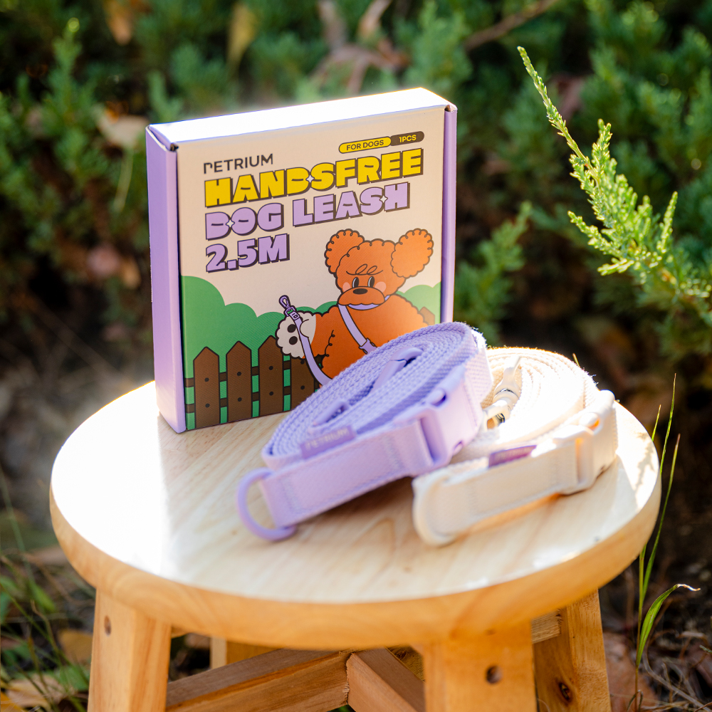 펫트리움 핸즈프리 리드줄 2.5M 산책용 강아지 목줄