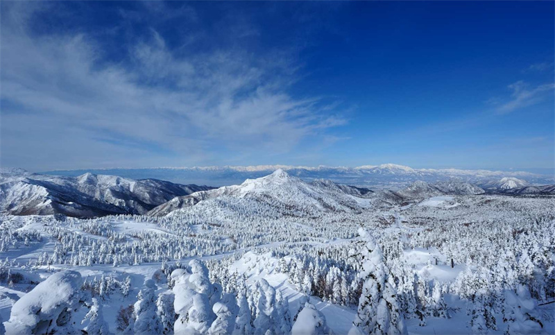 일본 나가노 시가 고원 산악 리조트 티켓 식사권 예약 (나가노현 스키장) 이미지 4