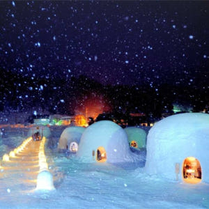 일본   도쿄  나가노 스노우 몽키 1일 투어 쇠고기 스키야키 점심 식사... 솔직 후기 | 실사용자 리뷰 분석 - 상품 이미지 3