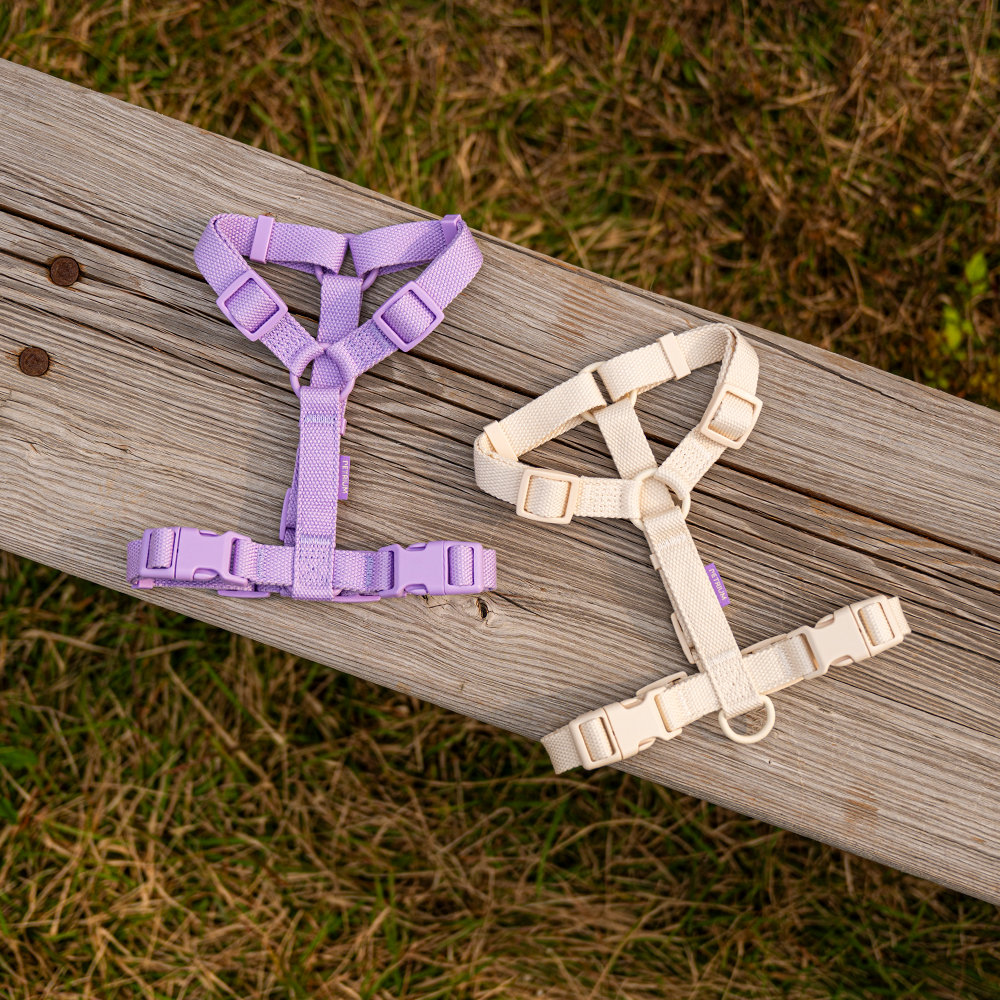 펫트리움 가뿐하네스 강아지하네스 가슴줄 목줄