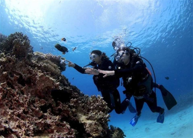 일본  [한국어가이드] 오키나와 푸른동굴 보트 체험 다이빙 (사진촬영 전송 무료) - 상품 이미지