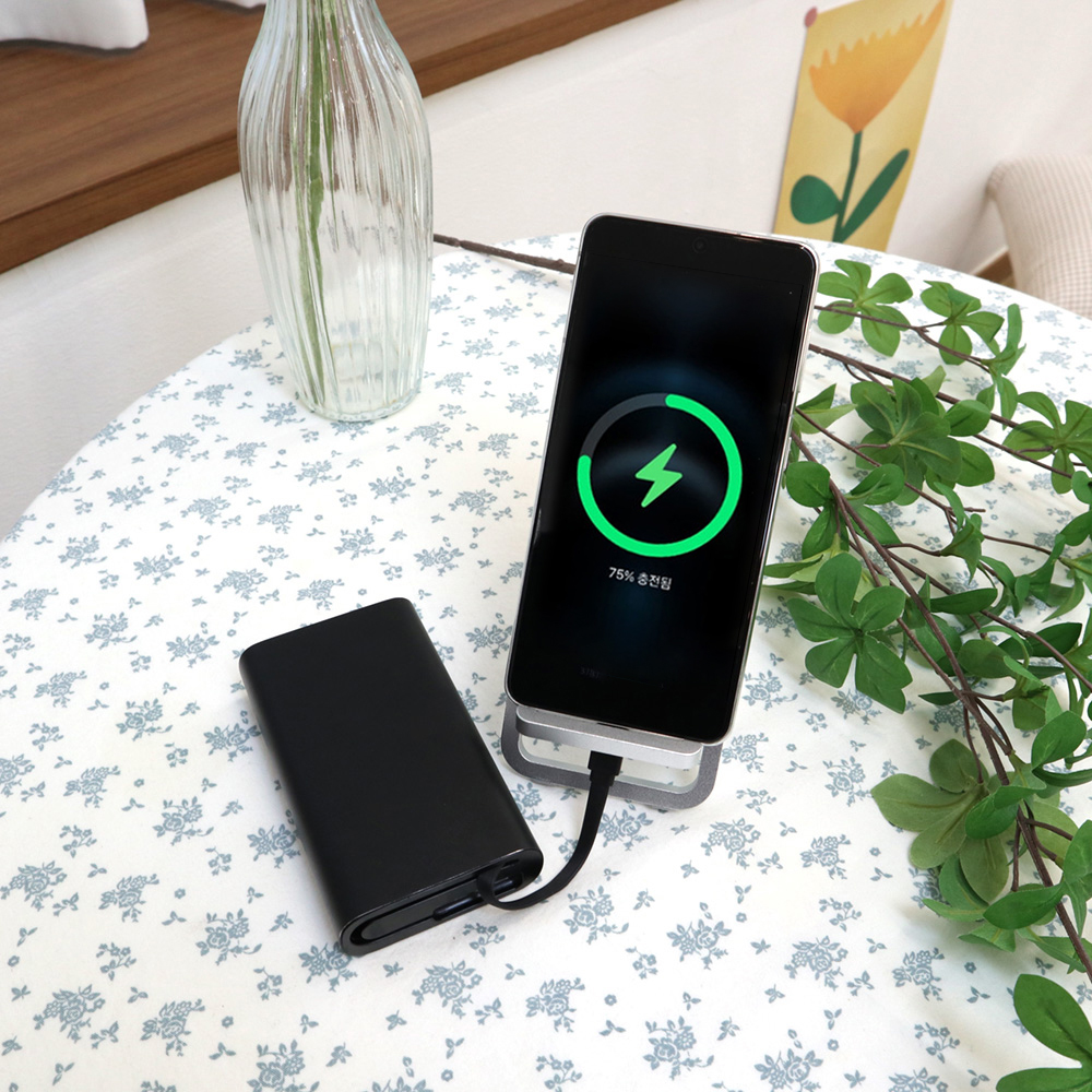 애니클리어 휴대용 파워뱅크 10000mAh 대용량 고속충전 보조배터리 PDB-QC20 - 상세 이미지 2