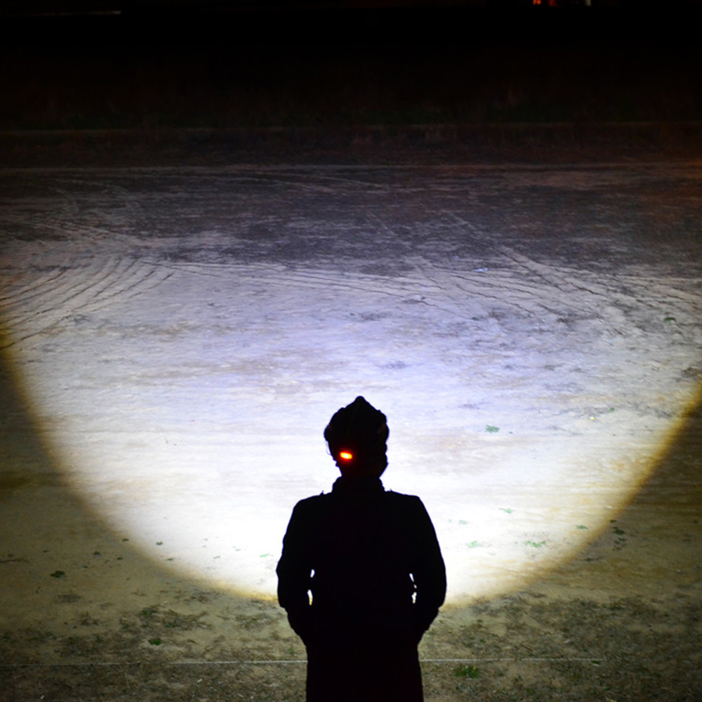 16298447507192630 924732781