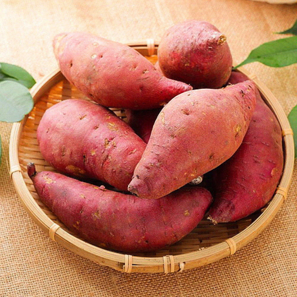 해남 황토 햇 꿀 고구마 5kg 밤고구마 베니하루카 한입 3kg 10kg