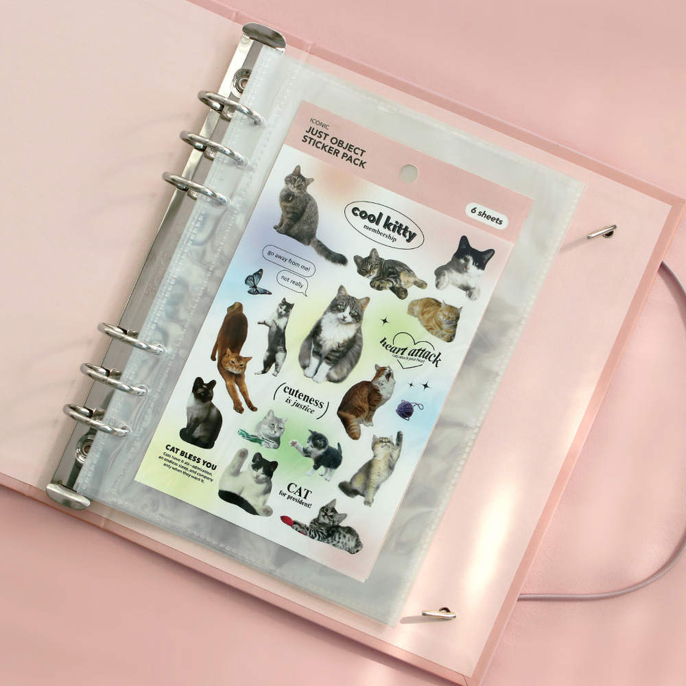 아이코닉 레코드온 6공 바인더 A5 앨범속지(포카 포토카드 인스 네컷 사진)1pocket 이미지 1