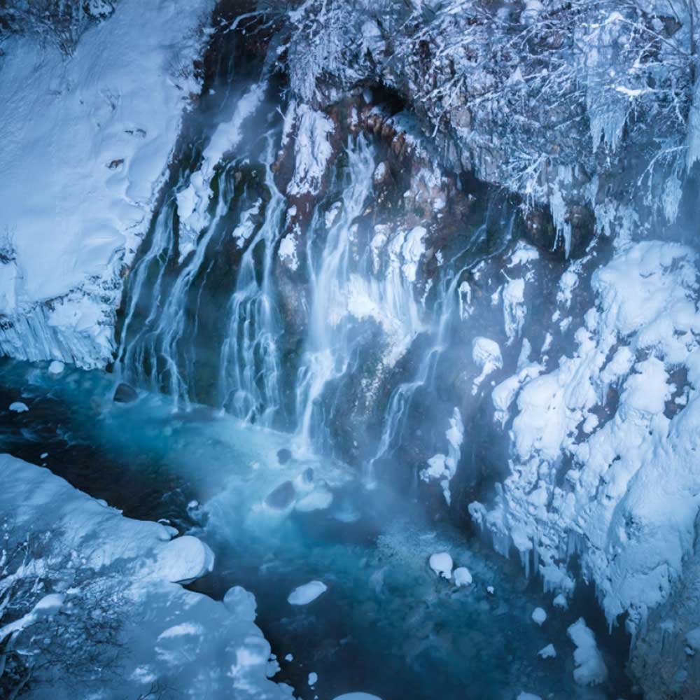 [유투어버스] 삿포로역 출발 비에이 후라노 1일 버스 투어 북해도 홋카이도 자유 현지 여행