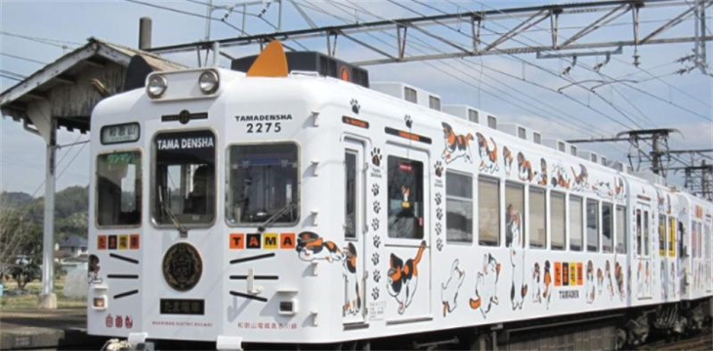 일본 와카야마 1일 투어 세계유산 고야산 와카야마 고양이 스테이션 마스터 쿠로시오 시장(오사카 출발) - 상세 이미지 2