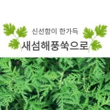 새섬해풍쑥 스토어 로고