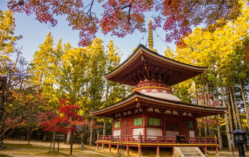일본 와카야마 1일 투어 세계유산 고야산 와카야마 고양이 스테이션 마스터 쿠로시오 시장(오사카 출발) - 상품 이미지