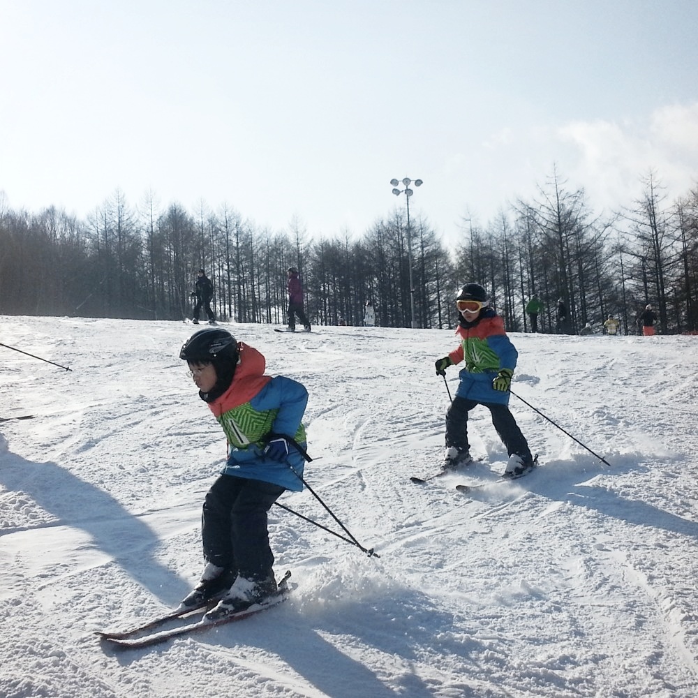 하이원리조트 어린이 스키강습 보드강습 4시간 강습권