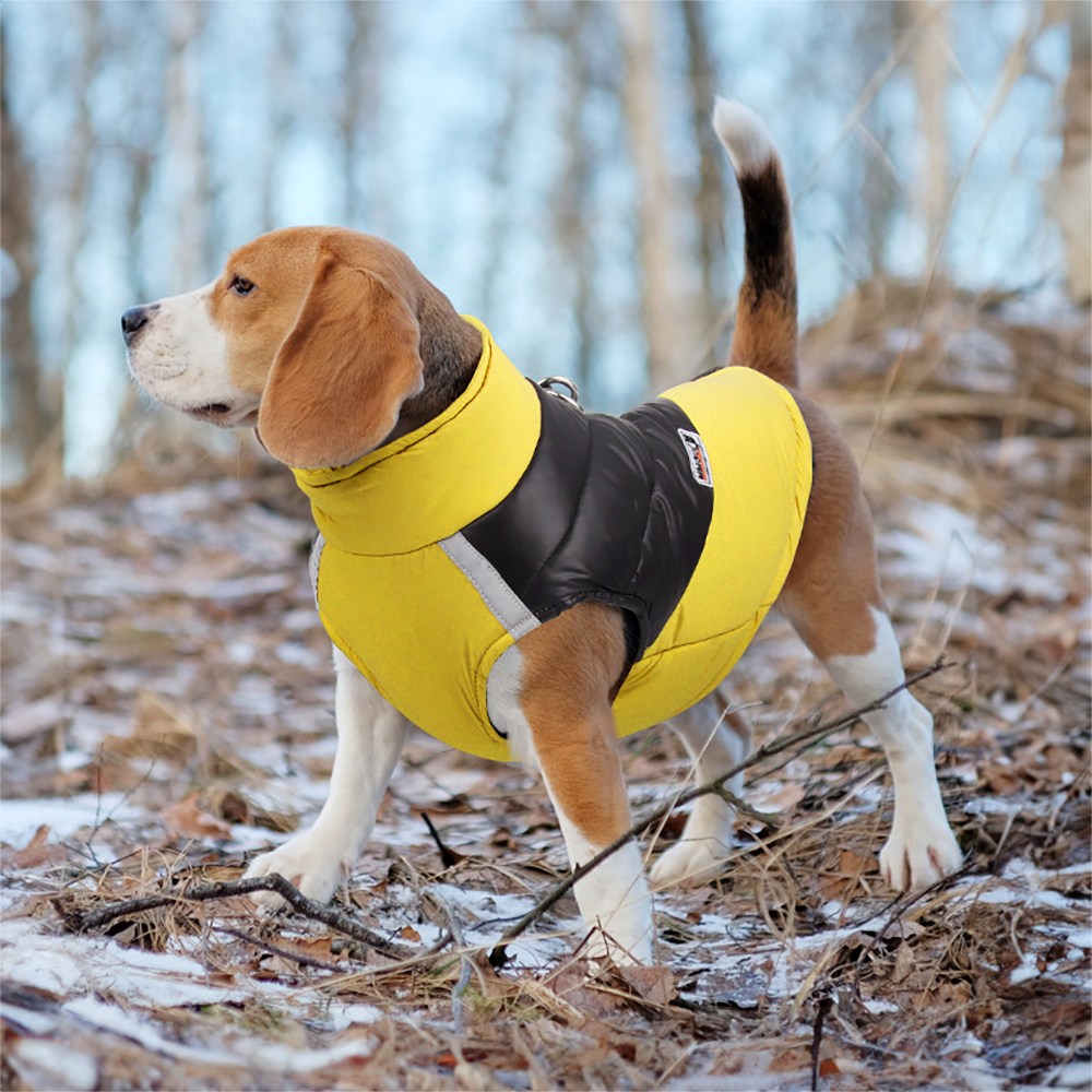 대형견패딩 강아지 패딩 조끼 경량 겨울옷 진돗개