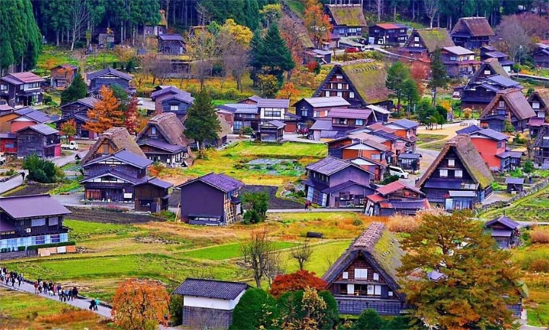 일본 나고야 절묘한 소그룹  다카야마 시라카와고 1일 투어 (나고야 출발) 이미지 3