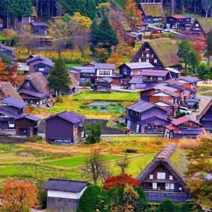 일본 나고야 절묘한 소그룹  다카야마 시라카와고 1일 투어 (나고야 출발... 솔직 후기 | 실사용자 리뷰 분석 - 상품 이미지 3