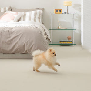 세븐펫 강아지 미끄럼방지 매트 타일 도톰카페트 50x50cm 솔직 후기 | 실제 사용자 리뷰 총정리 - 상품 이미지 2