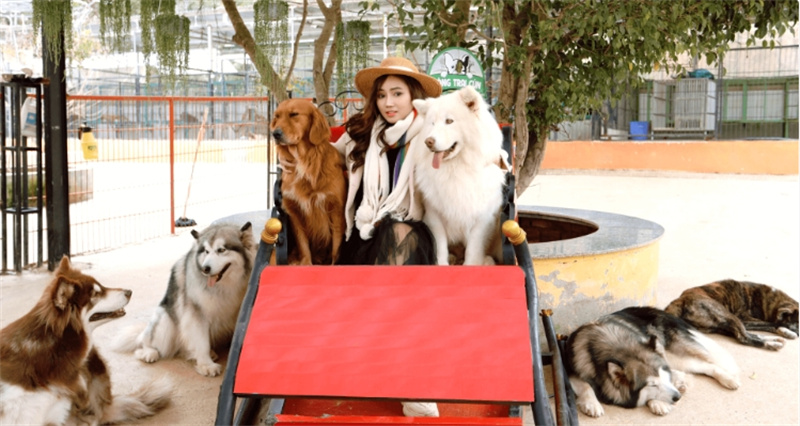 베트남 일일 투어 | 유람 달랏 Zoodoo 이미지 4