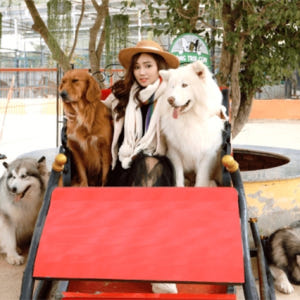 베트남 일일 투어 | 유람 달랏 Zoodoo 솔직 후기 | 실사용자 리뷰 분석 - 상품 이미지 4