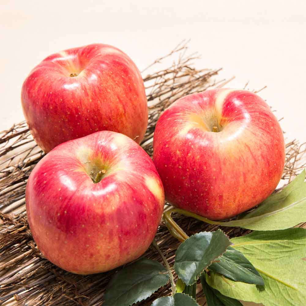 25년산 경북 햇 홍로사과 가정용 못난이 주스용 2kg 3kg 5kg - 상세 이미지 5