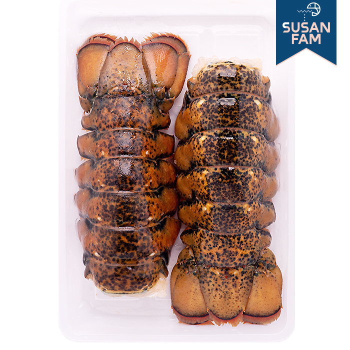 캐나다 랍스터테일 1마리 3마리 (미당 약120g) 랍스타 바닷가재꼬리 - 상세 이미지 3