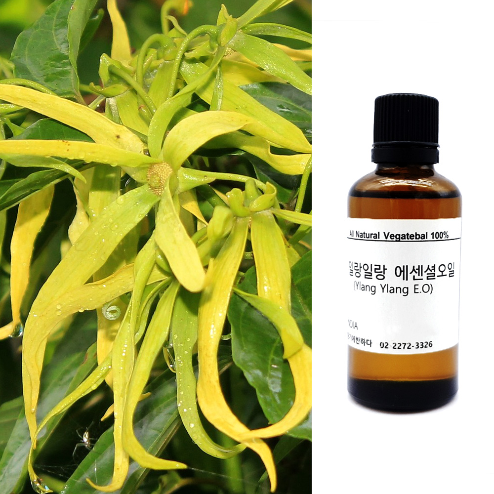 일랑일랑 천연 아로마 에센셜 오일 10ml 피부 유수분 두피 모발 향료 화장품 재료 향기에반하다 : 향기에반하다
