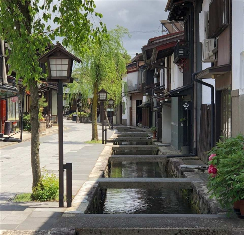 일본 나고야 절묘한 소그룹  다카야마 시라카와고 1일 투어 (나고야 출발) 이미지 2