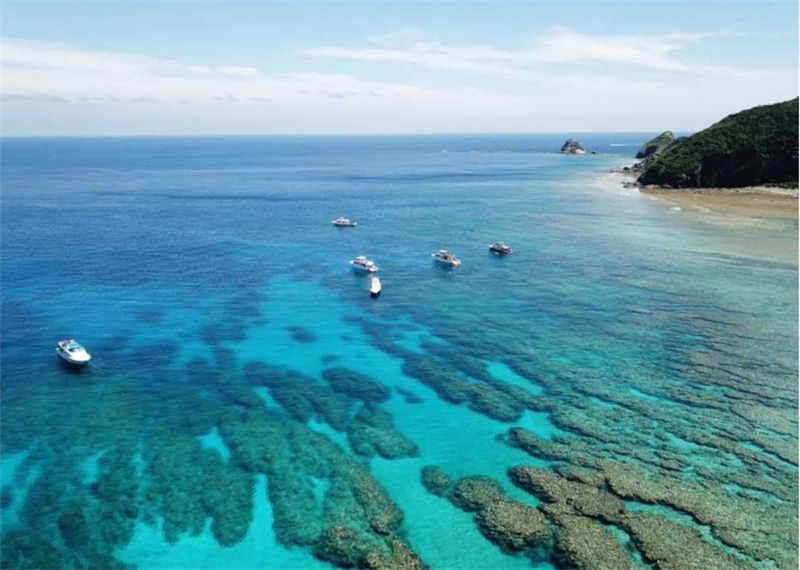 일본 오키나와 케라마제도 종일 스노클링 투어 (차탄출발) 이미지 1