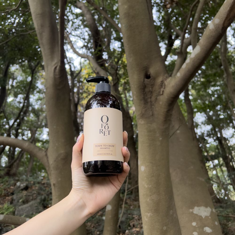 큐포레 샴푸 탈모 두피케어 약산성 아로마틱우디, 500ml, 1개 - 상세 이미지 2