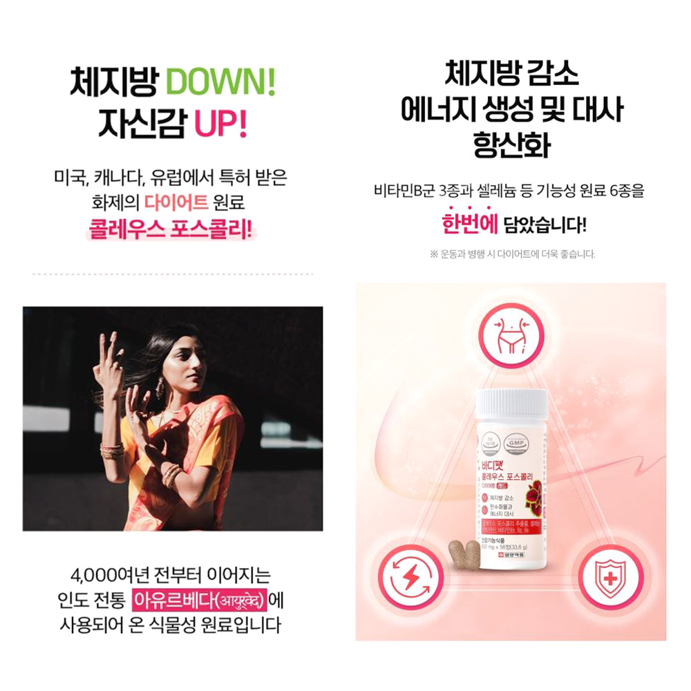 바디팻 콜레우스 포스콜리 56정 다이어트 레드 28일분 - 상세 이미지 4