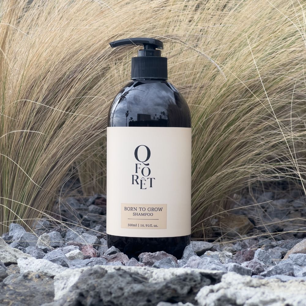 큐포레 샴푸 탈모 두피케어 약산성 아로마틱우디, 500ml, 1개 이미지 7