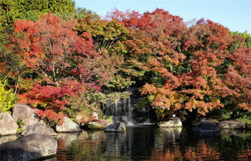 일본 효고 일일 투어 히메지성 아리마 온천  롯코산(오사카 출발) 솔직 후기 | 실사용자 리뷰 분석 - 대표 이미지