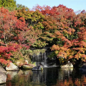 일본 효고 일일 투어 히메지성 아리마 온천  롯코산(오사카 출발) 솔직 후기 | 실사용자 리뷰 분석 - 상품 이미지 1