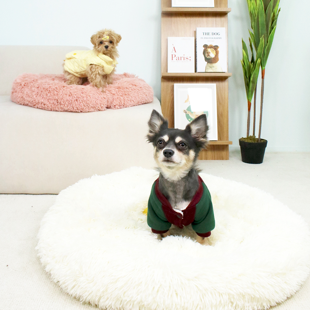 개과천선 토토 강아지 털 방석 애견 극세사 침대 쿠션 고양이 꿀잠 사계절 다견다묘 대형견