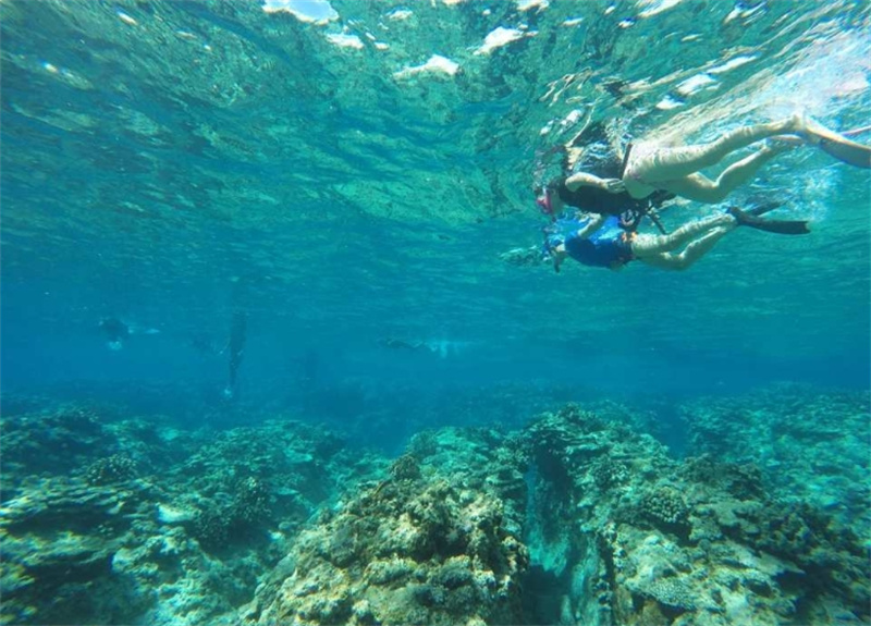 일본 오키나와 케라마제도 종일 스노클링 투어 (차탄출발) 이미지 3