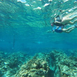 일본  오키나와 케라마제도 종일 스노클링 투어 (차탄출발) 솔직 후기 | 실사용자 리뷰 분석 - 상품 이미지 3