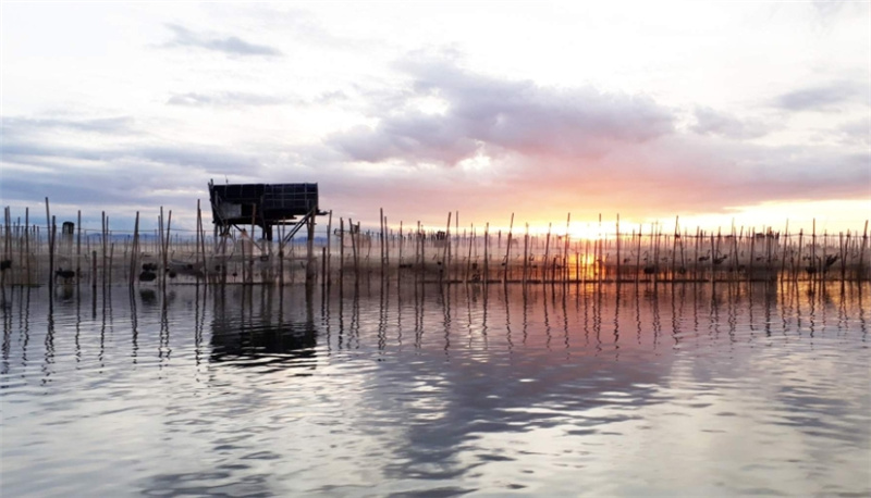 후에  투이 비에우 마을 & 땀장 라군 프라이빗 일일 투어 솔직 후기 | 실사용자 리뷰 분석 - 대표 이미지