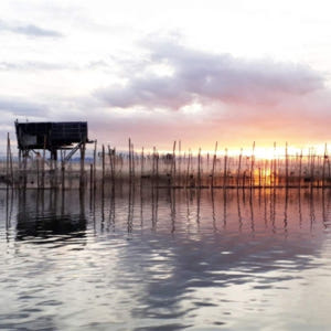후에  투이 비에우 마을 & 땀장 라군 프라이빗 일일 투어 솔직 후기 | 실사용자 리뷰 분석 - 상품 이미지 1
