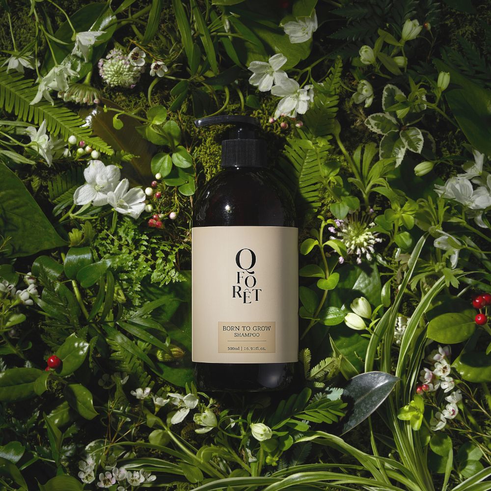 큐포레 샴푸 탈모 두피케어 약산성 아로마틱우디, 500ml, 1개 - 상세 이미지 3