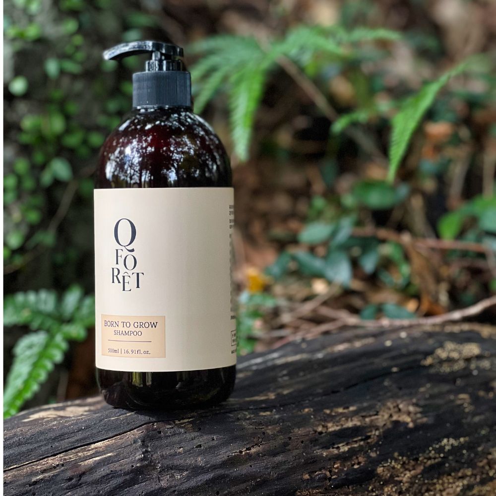 큐포레 샴푸 탈모 두피케어 약산성 아로마틱우디, 500ml, 1개 이미지 6