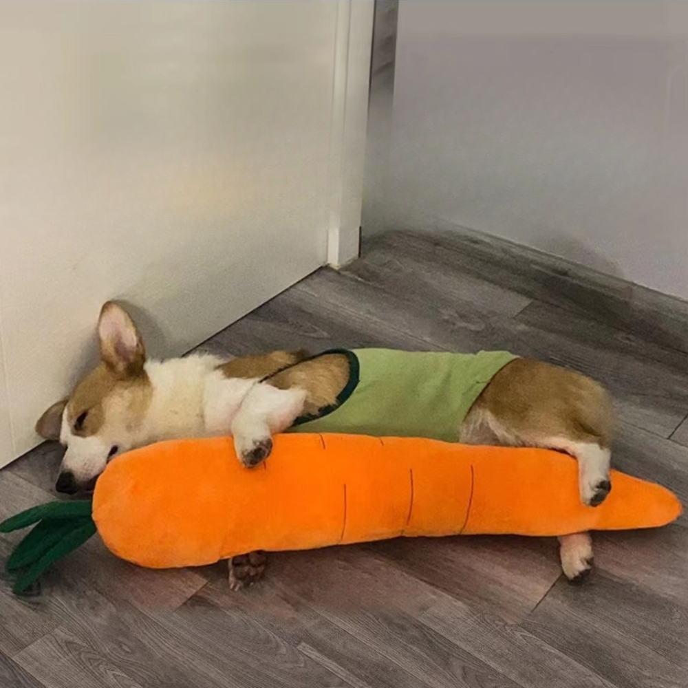 강아지 장난감 바스락 삑삑이 장난감 왕당근 이미지 4