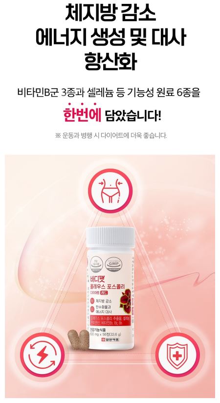 바디팻 콜레우스 포스콜리 56정 다이어트 레드 28일분 - 상세 이미지 5