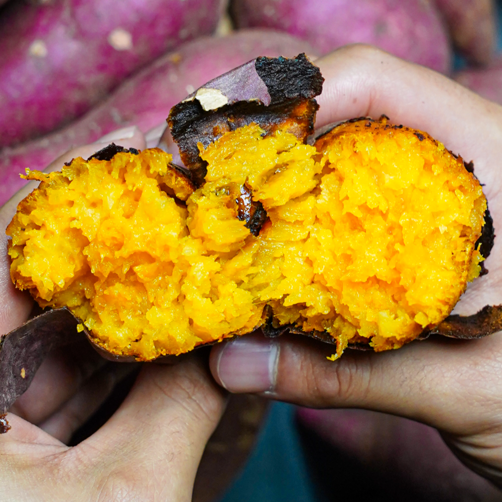 해뜨온 25년햇고구마 호풍미 고구마