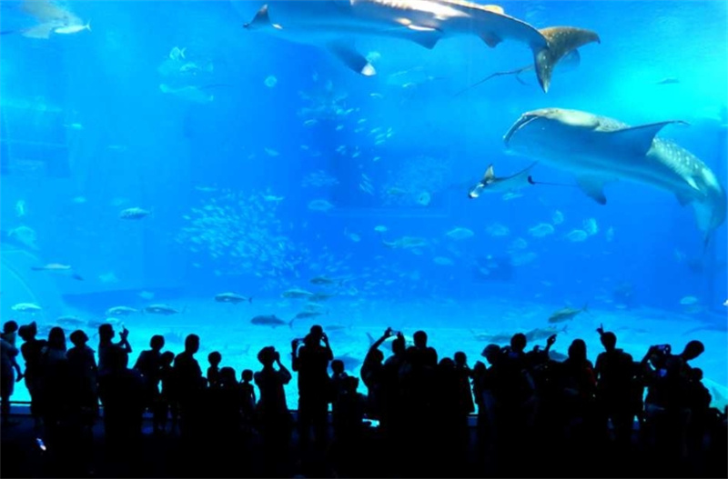 일본 오키나와 북부 1일 중국인 가이드 투어(오키나와 나하  아메리칸 빌리지  만자모 오카시 고텐(온나 빌리지) 코우리 섬 츄라우미 수족관 아메리칸 빌리지 등) 이미지 4