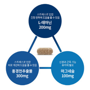 테아닌 엘테아닌 홍경천추출물 로사빈 긴장완화 세로토닌 맛있게 먹은 솔직 후기 - 상품 이미지 4