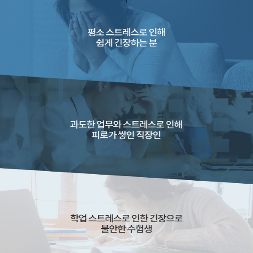 테아닌 엘테아닌 홍경천추출물 로사빈 긴장완화 세로토닌 이미지 3